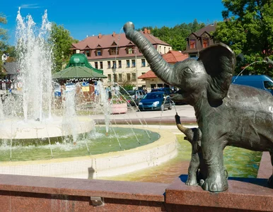 Miniatura: Polskie uzdrowisko przyciąga tłumy. To raj...