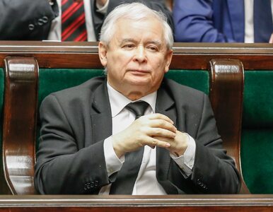 Miniatura: Kto kandydatem PiS na prezydenta Warszawy?...