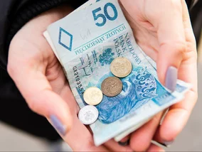 Miniatura: Nawet 12,9 tys. zł miesięcznie. Wielkie...