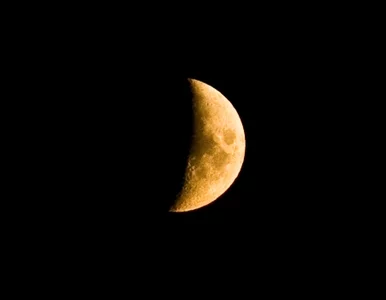 Miniatura: Ciemność pod ochroną. W rezerwacie