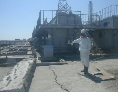 Miniatura: Fukushima: radioaktywna woda wycieka do...
