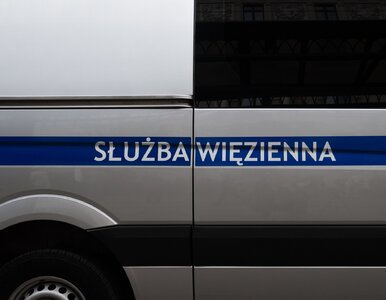 Miniatura: Matka w kajdankach na pogrzebie dziecka....