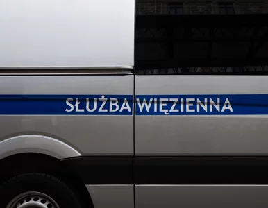 Miniatura: Matka w kajdankach na pogrzebie dziecka....
