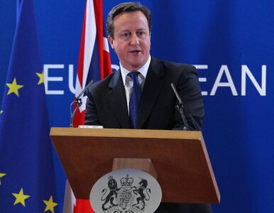 Miniatura: Cameron: pakt fiskalny nic nie zmienia