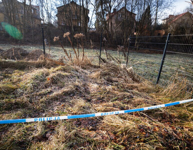 Miniatura: 12-latka miała zabić 11-latkę. Koledzy...