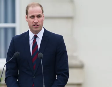 Miniatura: W żyłach księcia Williama płynie......