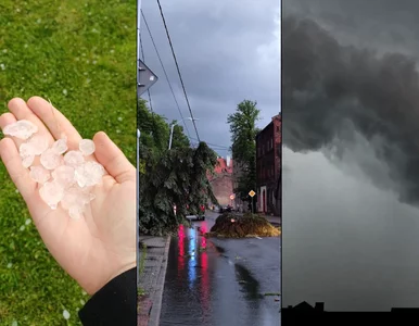 Miniatura: Tragiczne skutki nawałnic. Auto z...