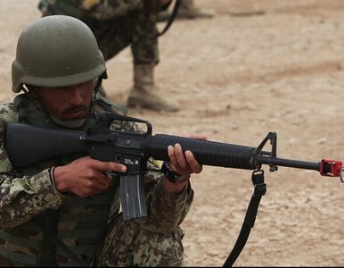 Miniatura: USA wyposażają armię Afgaistanu. 53...