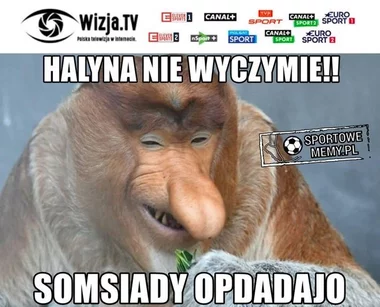 Mem po meczu Korea Południowa – Niemcy