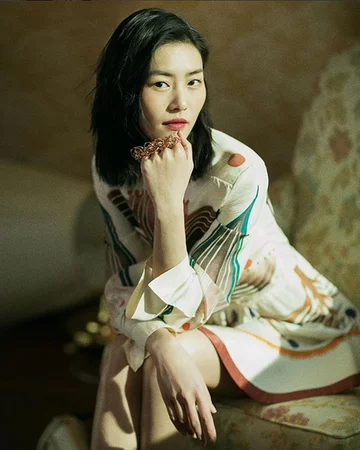 Liu Wen 