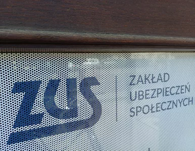 Miniatura: Jak seniorzy wydają dodatkowe emerytury?...