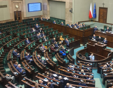Sejm zdecydował o dalszych losach komisji weryfikacyjnej. Są wyniki...