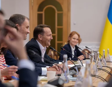 Miniatura: Радослав Сікорський у Києві