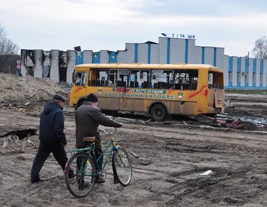 Miniatura: Skala zniszczeń poraża. Snajperzy...