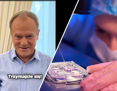 Miniatura: Zaskakujący wpis Donalda Tuska. „Mam wnuczkę”