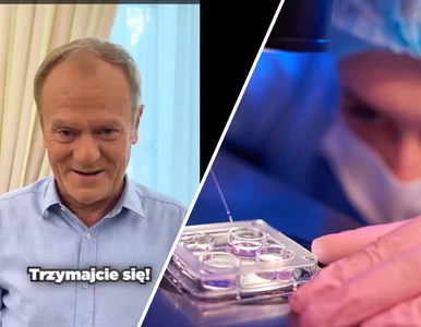 Miniatura: Zaskakujący wpis Donalda Tuska. „Mam wnuczkę”