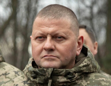 Miniatura: Naczelny dowódca Sił Zbrojnych Ukrainy o...