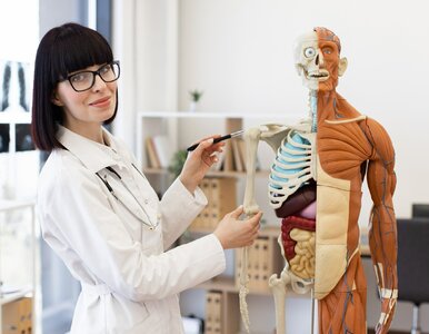 Miniatura: QUIZ z anatomii. Nie wiesz tego o ludzkim...