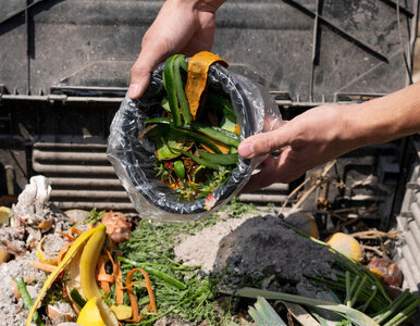 Miniatura: Kompostownik bez błędów na start. Robię to...
