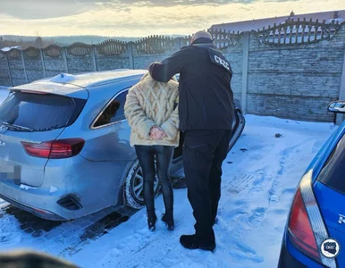 Miniatura: Duża akcja służb. Seria zatrzymań osób...