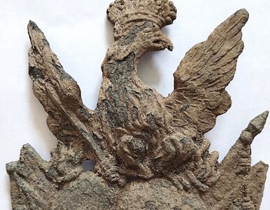 Miniatura: Orzeł z hełmu z... Chełma. Archeologiczne...