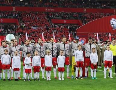 Miniatura: Chaos na meczu Polska – Albania. Straż...