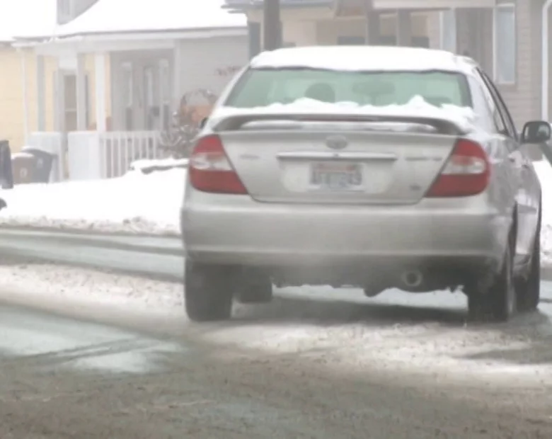 Miniatura: Chihuahua sprawcą stłuczki. Pies siedział...