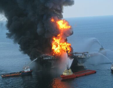 Miniatura: BP zapłaci prawie 8 mld dol. poszkodowanym...