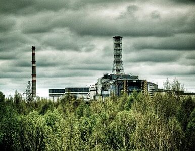 Miniatura: Chmura z Czarnobyla nad Francją - śledztwo...