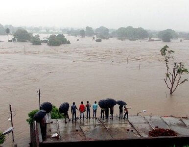 Miniatura: Powódź i tajfun niszczą Koreę Płn. 90 osób...