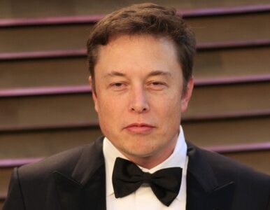 Miniatura: Internet bez litości dla Elona Muska. CEO...