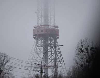 Miniatura: Wojna na Ukrainie. Brytyjski wywiad...