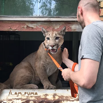 Puma Messi 