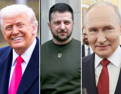 Miniatura: Trump rozmawiał z Putinem i Zełenskim....