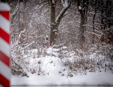 Miniatura: Ciało kobiety z Etiopii znalezione pod...