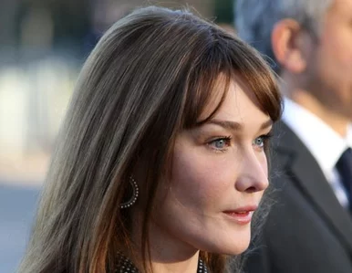 Miniatura: Piękna Carla i kloszard Denis