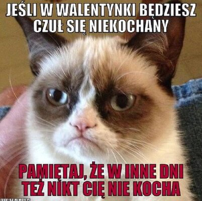 Miniatura: Tak internauci uczcili walentynki