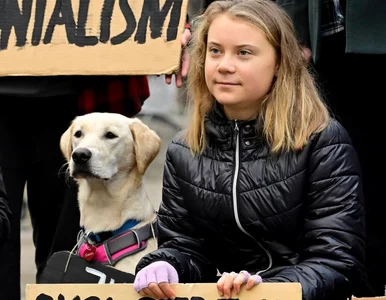 Miniatura: Greta wszechmogąca? „Urasta do rangi...