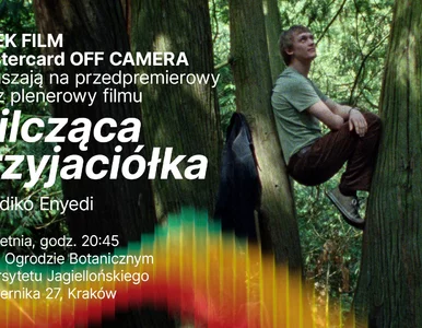 Miniatura: „Milcząca przyjaciółka” z polską premierą...