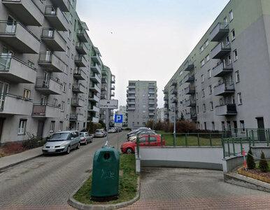 Miniatura: Karaluchy w bloku na krakowskim osiedlu....