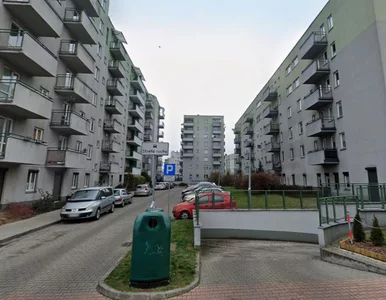 Miniatura: Karaluchy w bloku na krakowskim osiedlu....