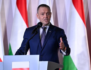 Miniatura: Karol Nawrocki wściekł się na wizji....