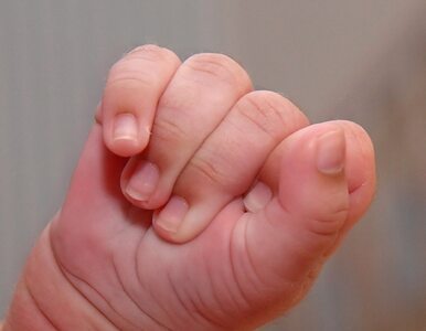 Miniatura: Gdynia: Znaleziono 2-miesieczne niemowlę....