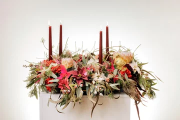 Poinsecja znana także jako gwiazda betlejemska 