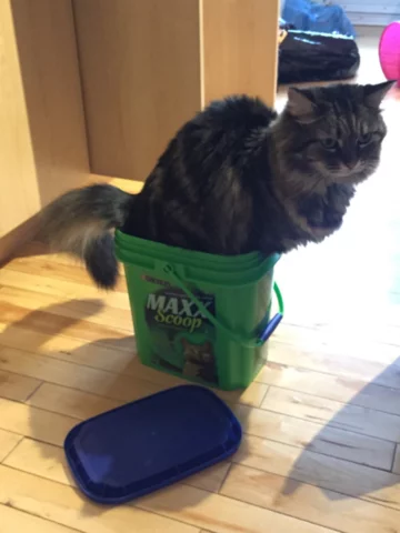 Ciekawe, czy wygodnie 