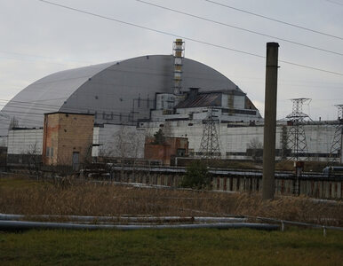 Miniatura: Pożary lasów w Czarnobylu. Sprawdziliśmy,...