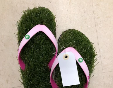 Miniatura: Najdziwniejsze rzeczy kupione w...