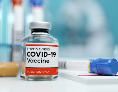 Miniatura: Zapisy na szczepienia na koronawirusa od...