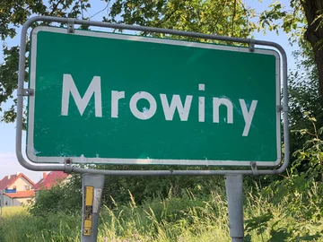 Mrowiny 