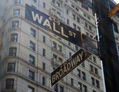 Miniatura: Kryzysu można było uniknąć?